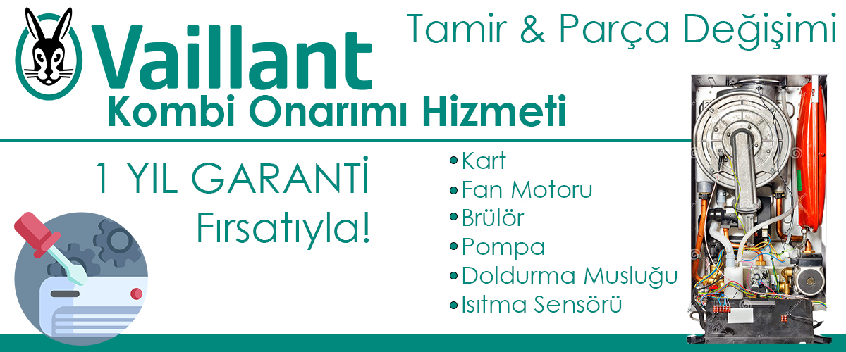 Vaillant Kombi Servisi İzmir