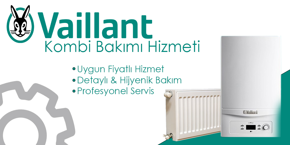 Vaillant Servisi İzmir