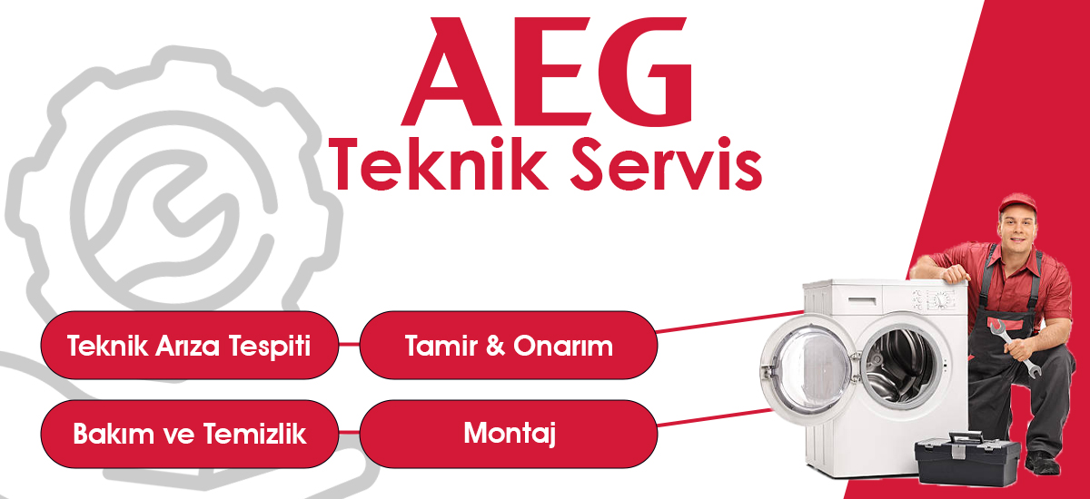 Aliağa AEG Teknik Servis Desteği