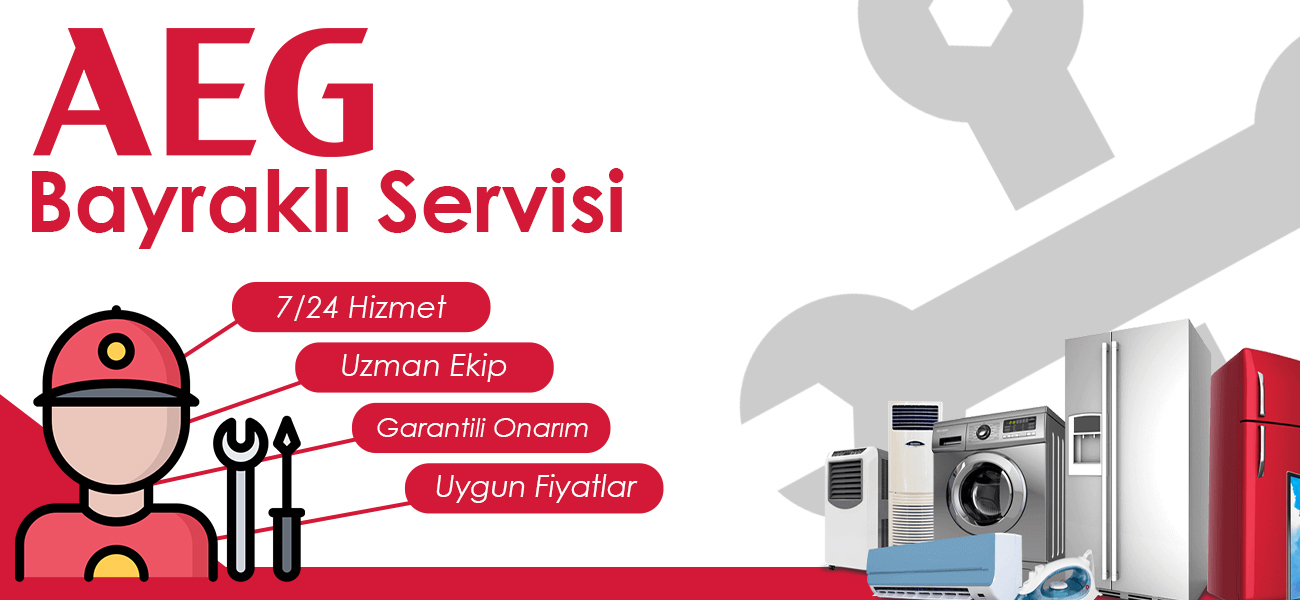 Bayraklı AEG Servisi Hizmetleri