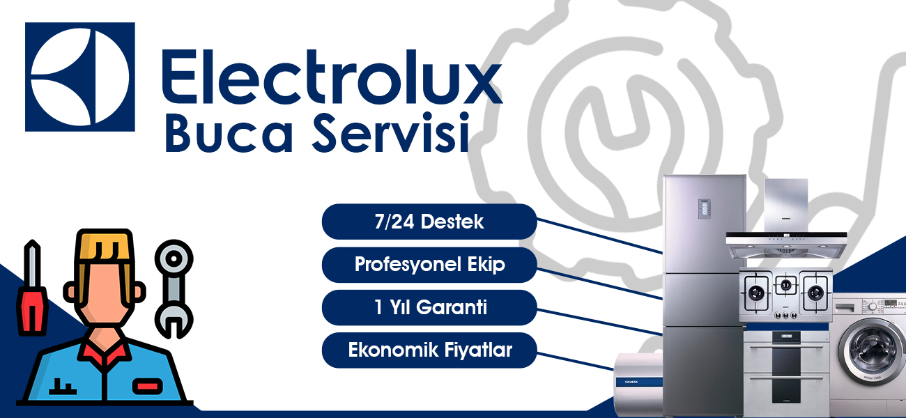 Buca Electrolux Servisi Hizmetleri