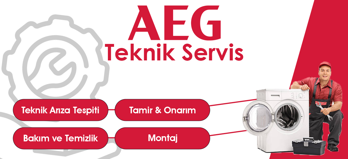 Gaziemir AEG Teknik Servis Desteği