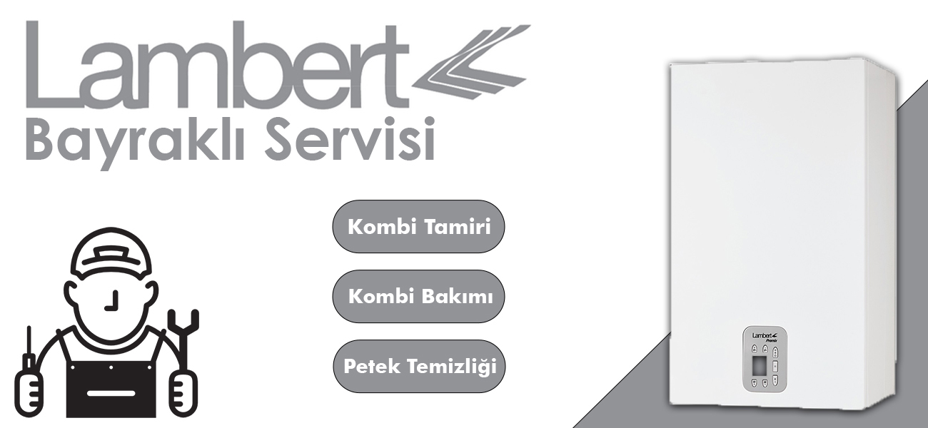 Bayraklı Lambert Servisi Hizmeti