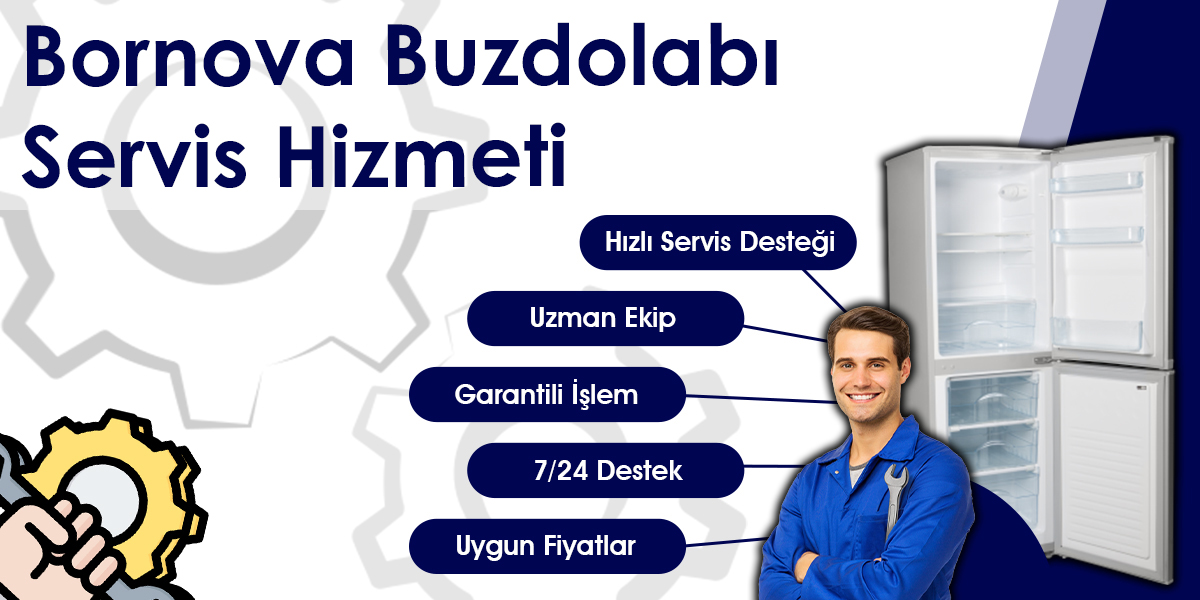 Buzdolabı Servisi Bornova